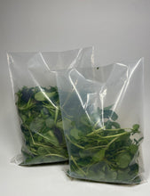 Load image into Gallery viewer, EcoClear™ Fresh Produce Bag: Large - 100 bags Econic by EAM