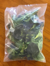 Load image into Gallery viewer, EcoClear™ Fresh Produce Bag: Small - 100 bags Econic by EAM