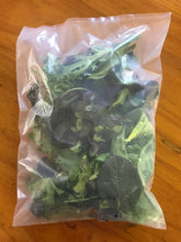 Load image into Gallery viewer, EcoClear™ Fresh Produce Bag: Small - 500 bags (wholesale) Econic by EAM 