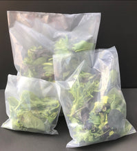 Load image into Gallery viewer, EcoClear™ Fresh Produce Bag: Large - 100 bags Econic by EAM