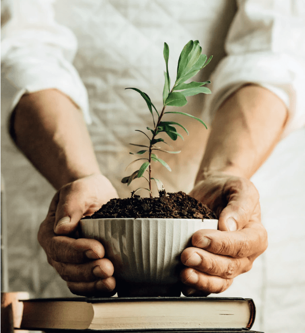 Home Compostable Sample Packs – Econic Compostable Packaging