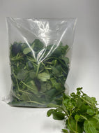 EcoClear™ Fresh Produce Bag: Large - 500 bags (wholesale) Econic by EAM 