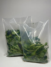Load image into Gallery viewer, EcoClear™ Fresh Produce Bag: Medium - 500 bags (wholesale) Econic by EAM 