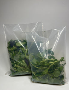 EcoClear™ Fresh Produce Bag: Large - 100 bags Econic by EAM 