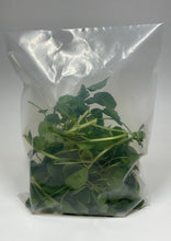 Load image into Gallery viewer, EcoClear™ Fresh Produce Bag: Medium - 100 bags Econic by EAM 
