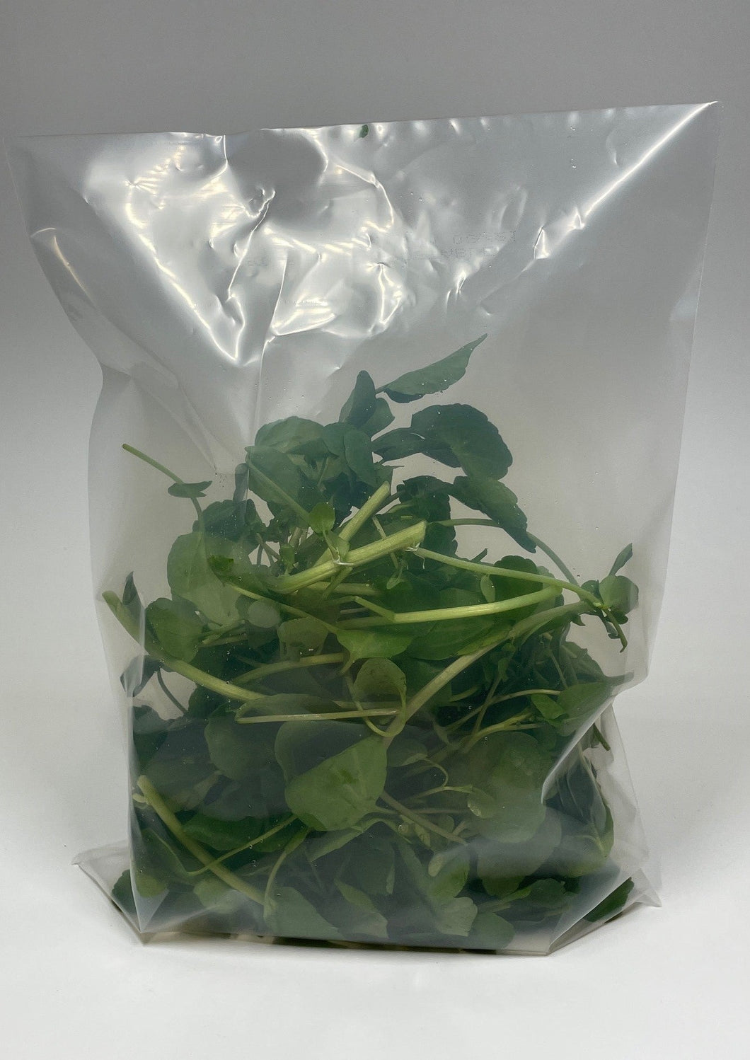 EcoClear™ Fresh Produce Bag: Medium - 100 bags Econic by EAM 